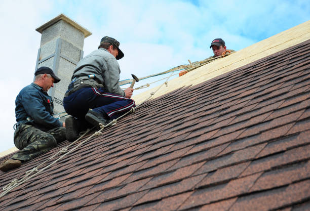 Best Roof Gutter Cleaning  in Fort Irwin, CA